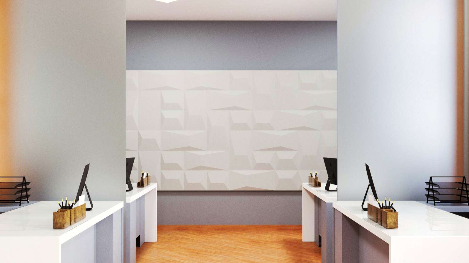 Proiect birouri-salon 3